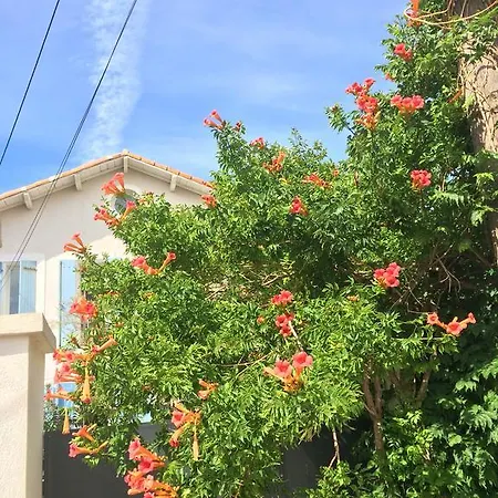 Πανσιόν Le Volet Bleu 3*
