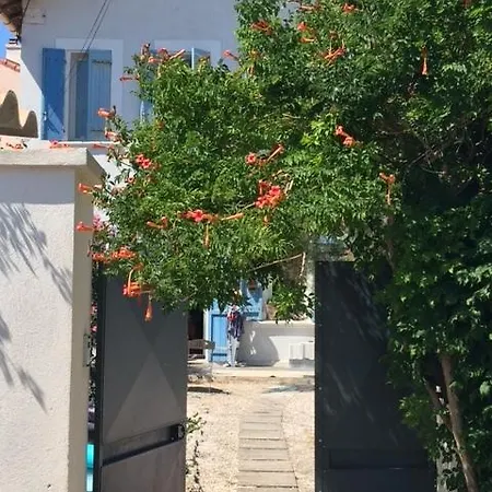 Le Volet Bleu Marseille